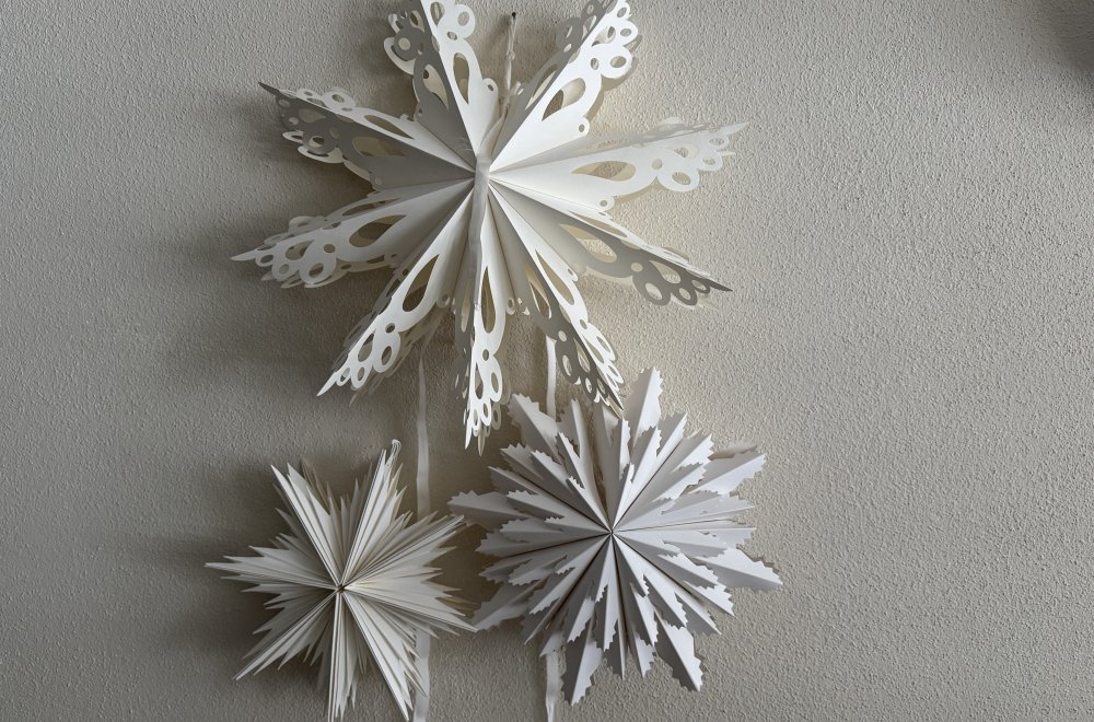 img_4059.jpeg img_4059.jpeg