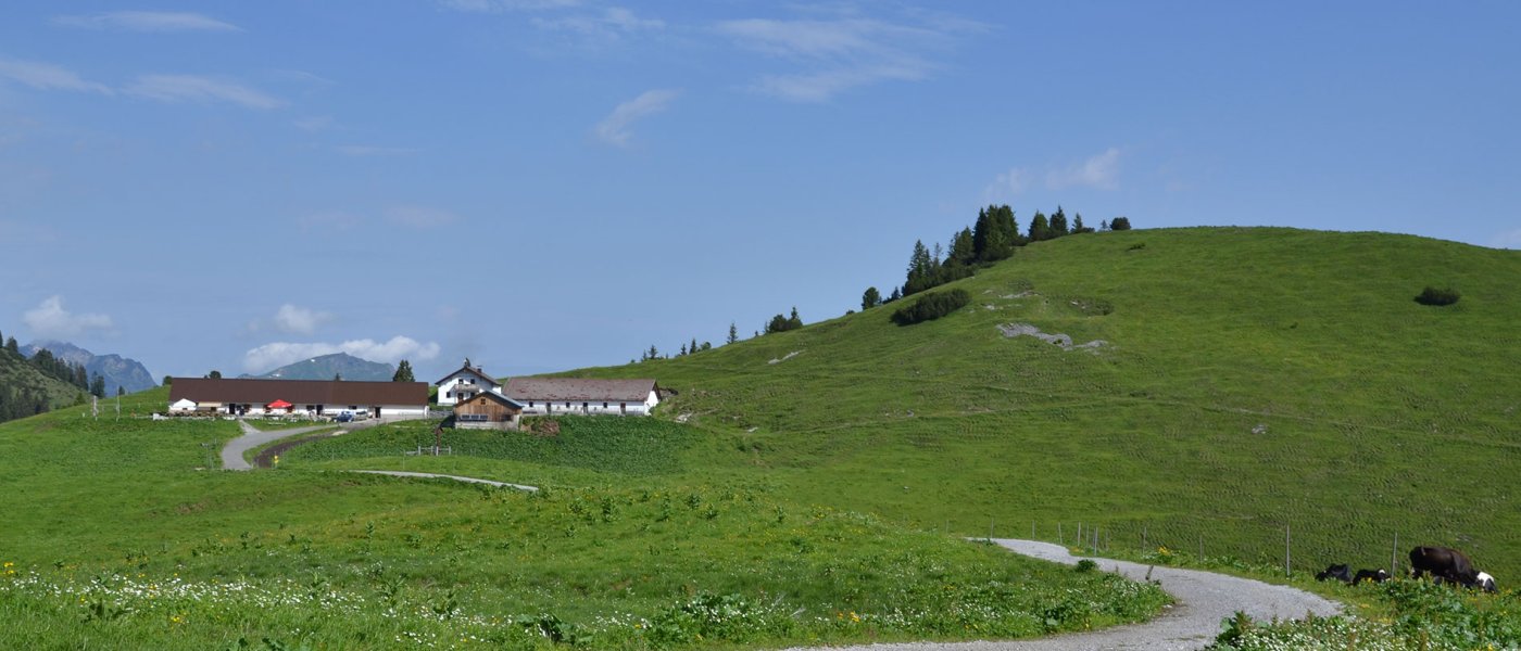 c-ulses-raazalpe-berwang-38.jpg