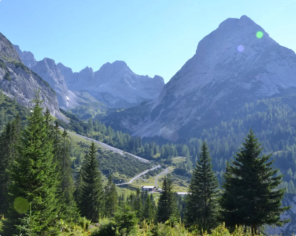 Almwirtschaft - Seebenalm