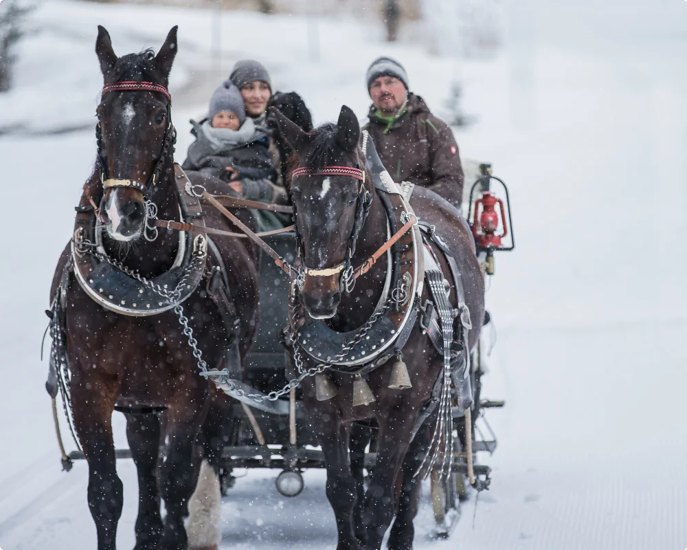 Pferdeschlittenfahrten Schretter