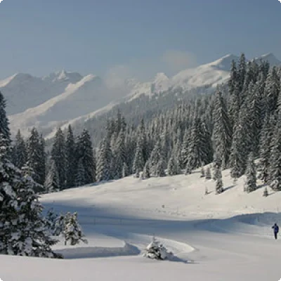 Berghotel Almrausch Berwang-Rinnen