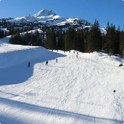 Birkenhof in Lermoos