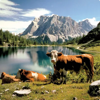 Tiroler Zugspitz Arena Seebensee Natur