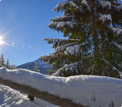 © Ulses Rinnen Wintersonne