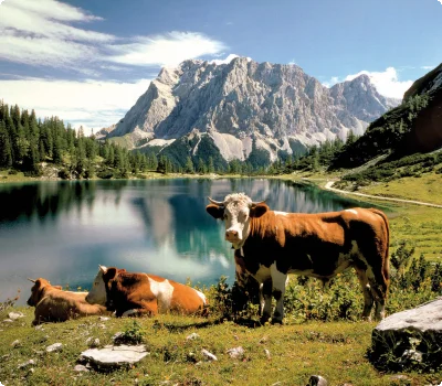 Das Gaistal und der Seebensee - das Voting läuft