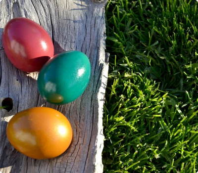 Oster Geschenk-Gutscheine